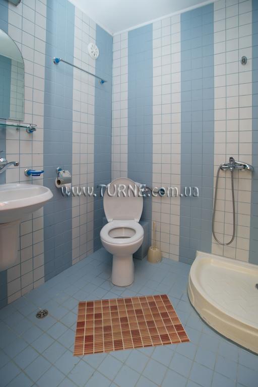 Вид Complex Anixi 3*