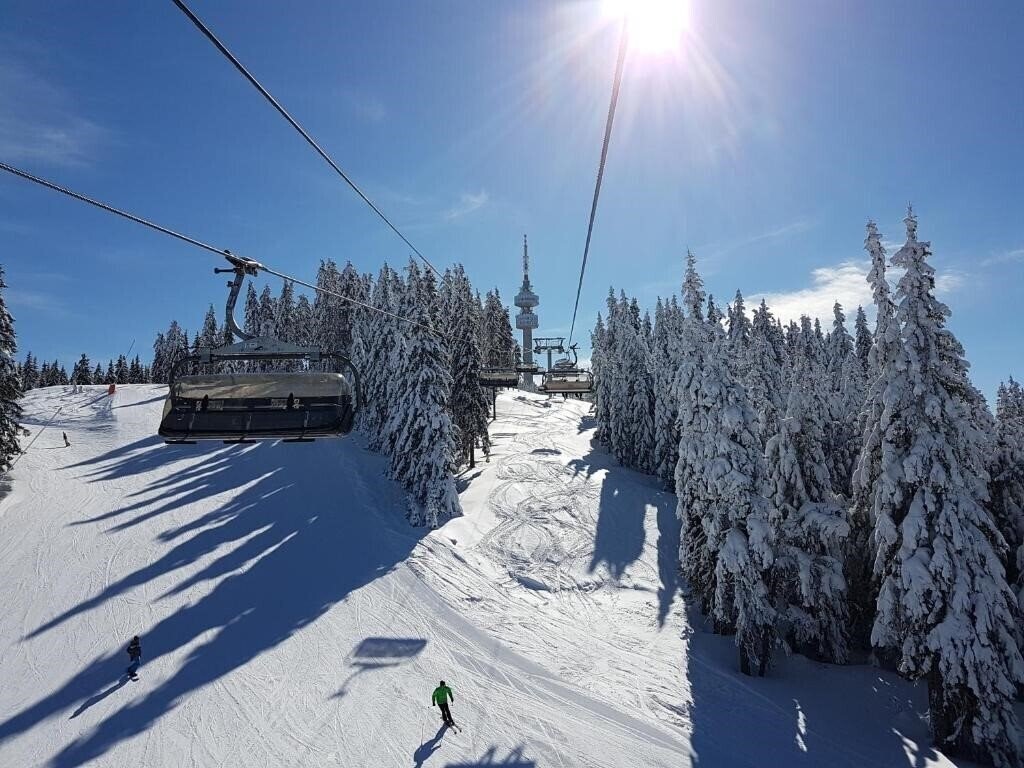 Вид Orphey Pamporovo 4*