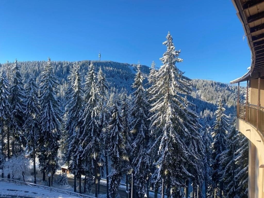 Апартаменты Orphey Pamporovo 4*