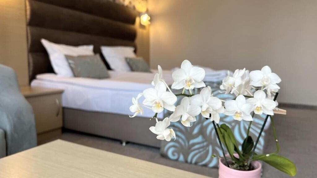 Панорама Orpheus 4*