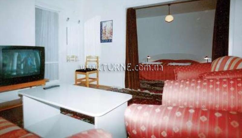 Панорама Bor Hotel 3*