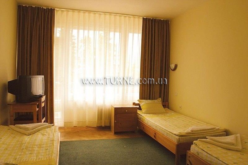 Фотографія Bor Hotel 3*