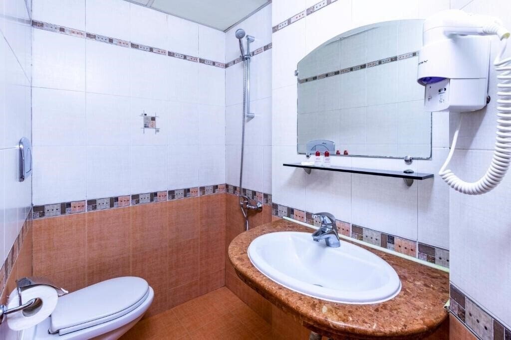 Апартаменты Dafi Hotel Plovdiv 3*