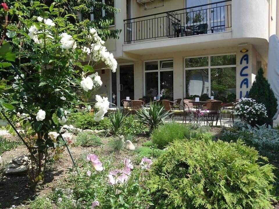 Панорама Family Hotel Saga 3*