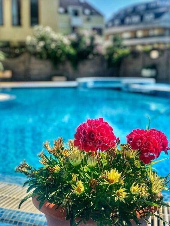 Картинка Crystal 3*