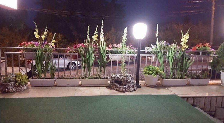 Апартаменты Snejanka Family Hotel 3*