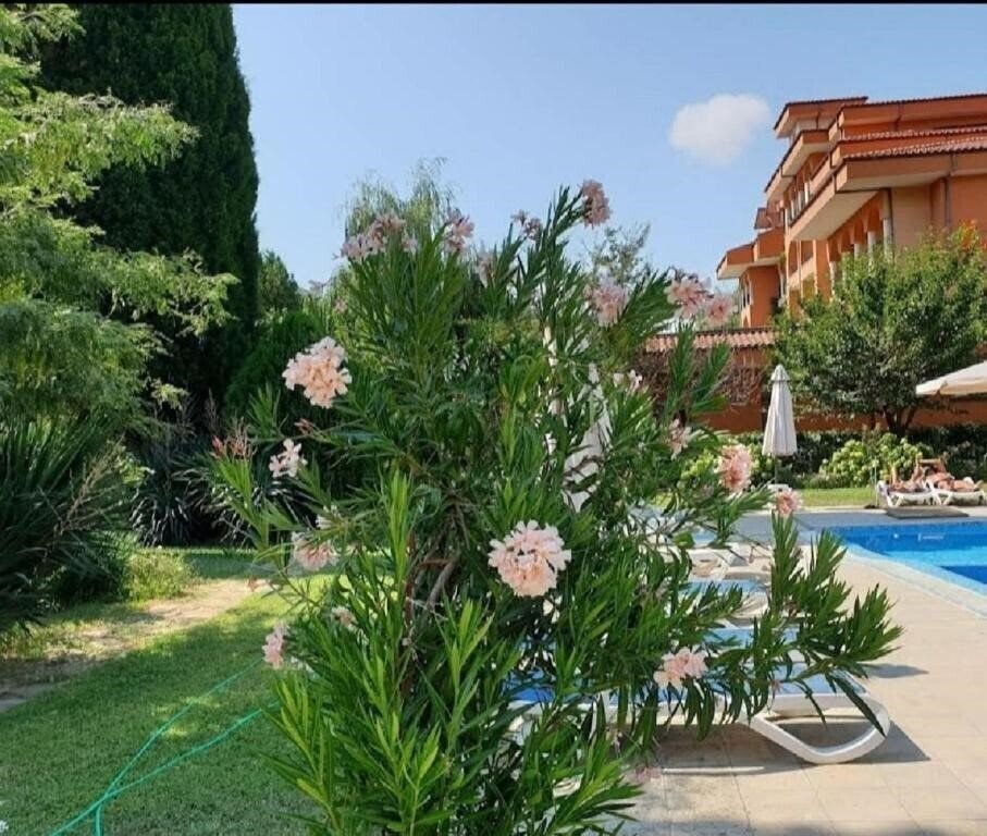 Вид Magnolia Sunny Beach 2*