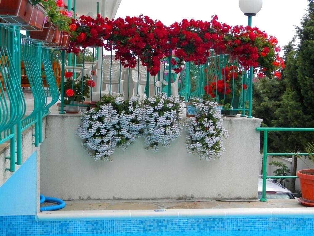 Картинка Zora_sb 3*