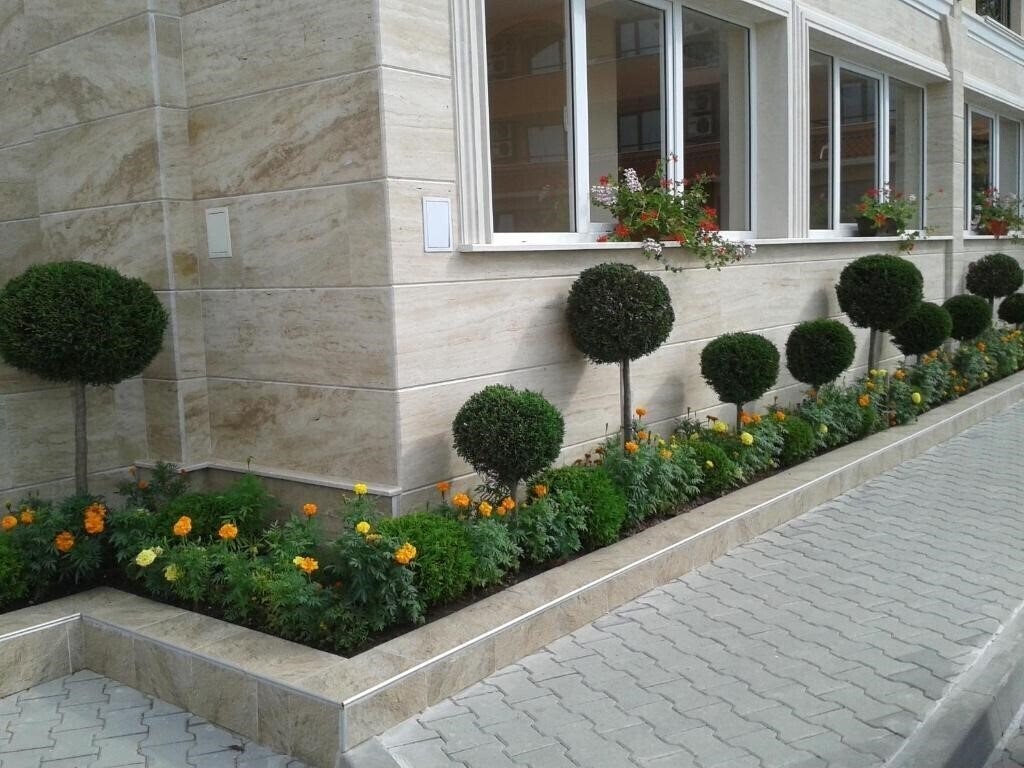 Фотография Aparthotel Seasons 3*