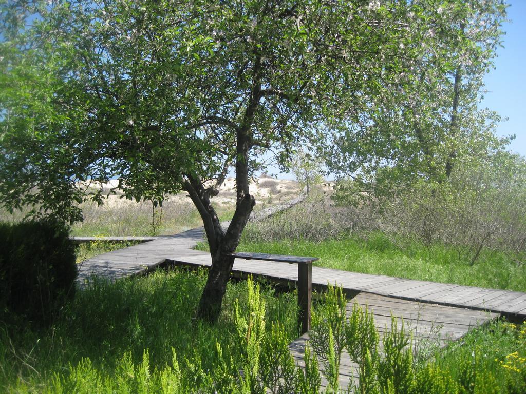 Панорама Sirena Sunny Beach 3*