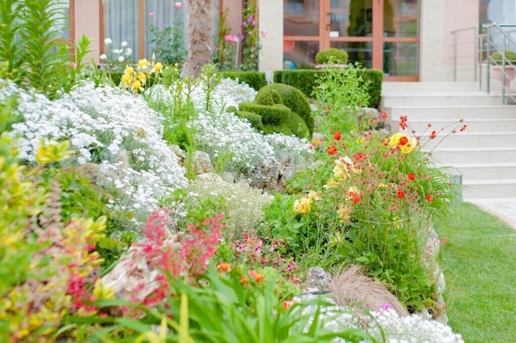 Апартаменты Vega 3*