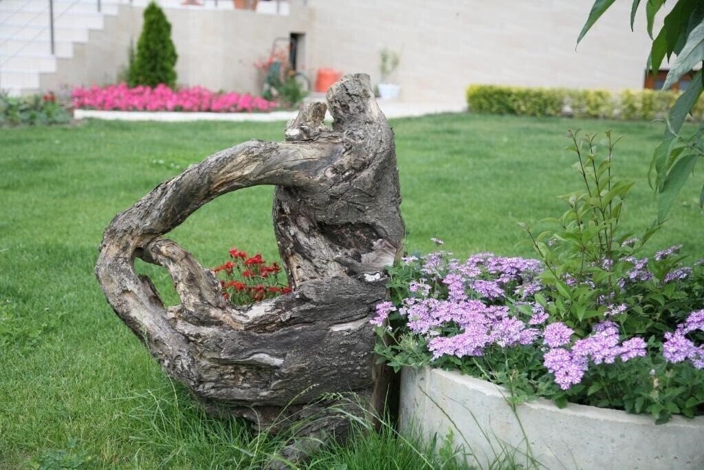 Панорама Vega 3*