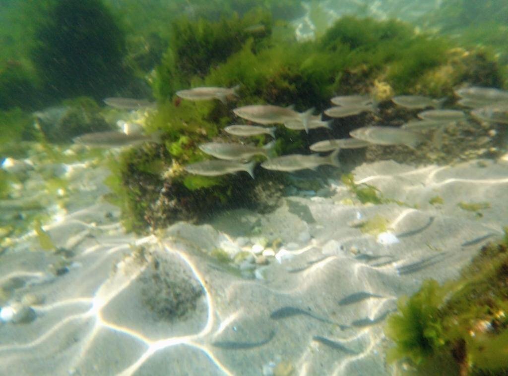 Панорама Sirius Beach 4*