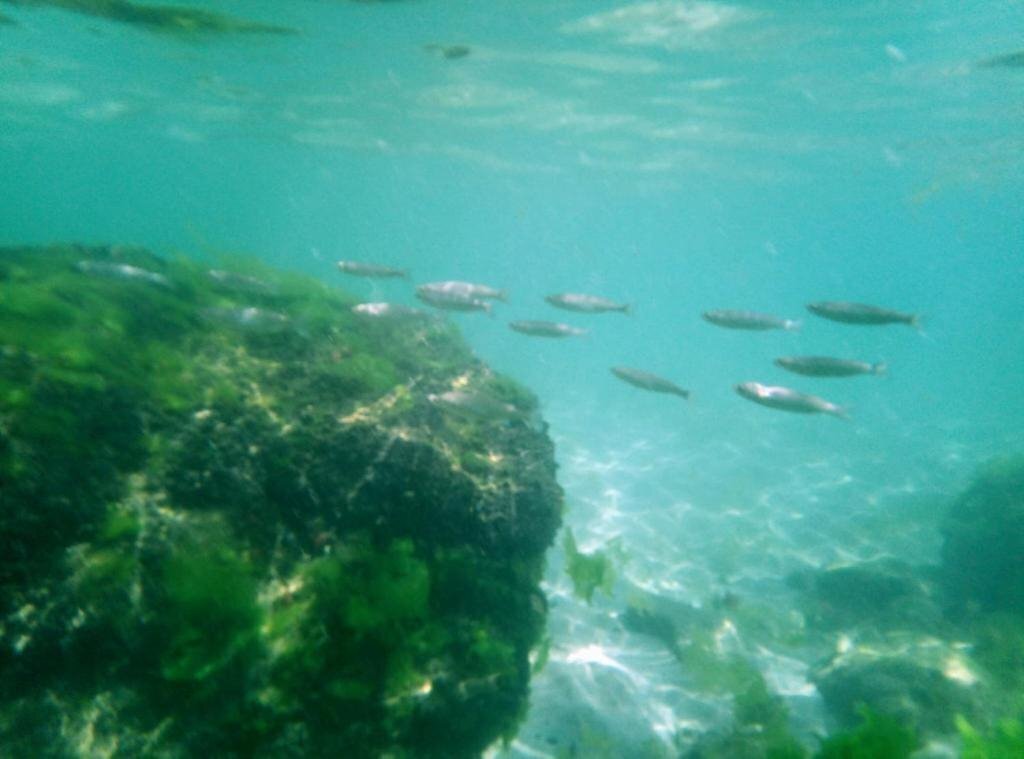 Фотографія Sirius Beach 4*