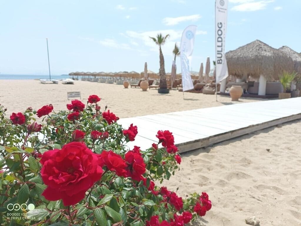 Територія Monastery II 4*