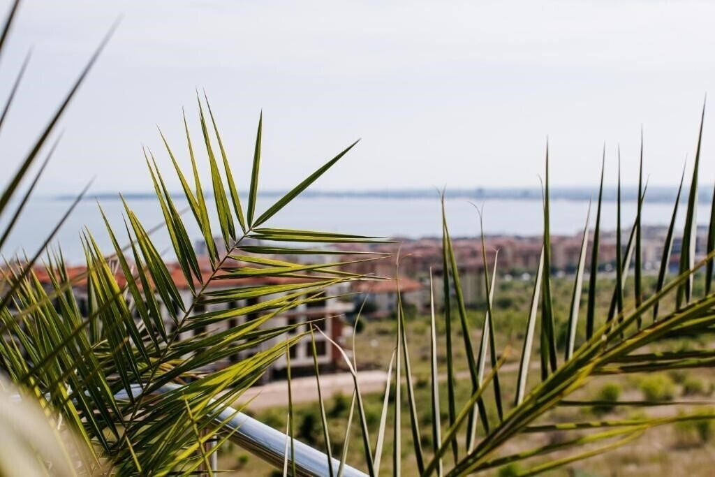 Панорама Red Iguana 3*