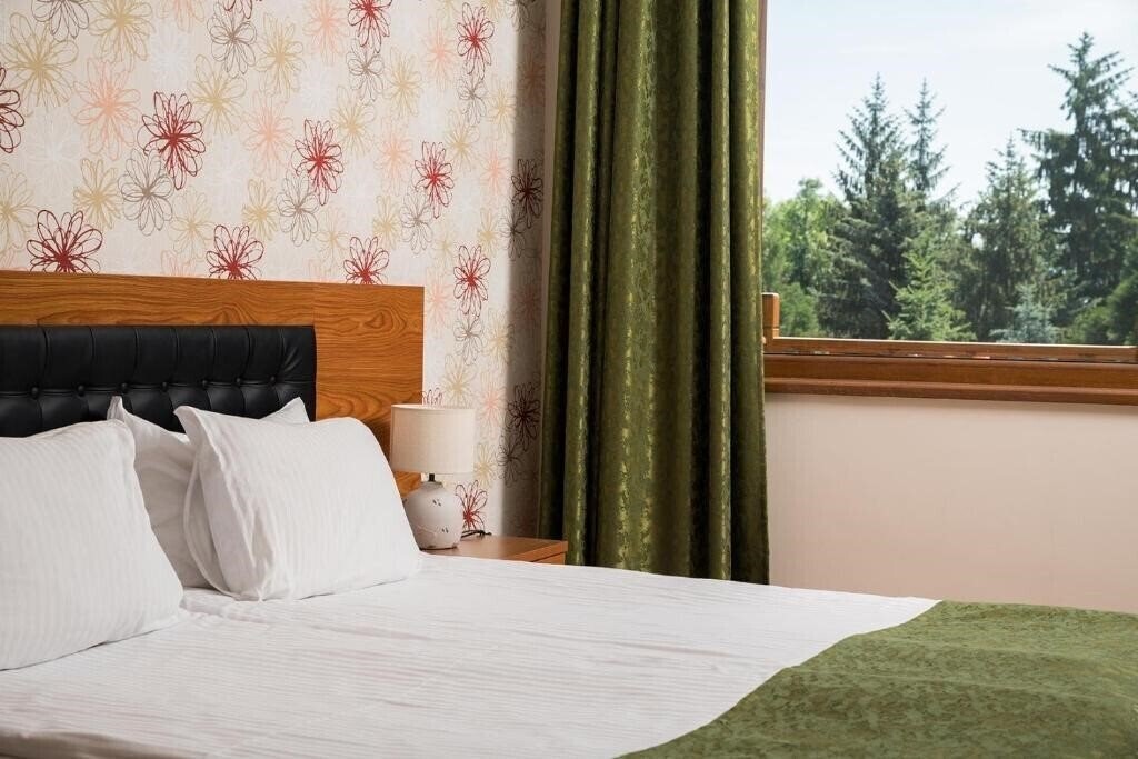 Панорама Spa Hotel Elbrus 3*