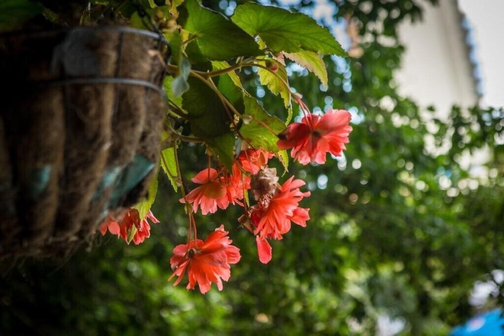 Территория Perla_golden Sands 3*