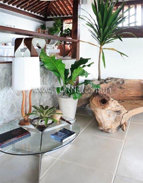 Зображення Insolito 3*