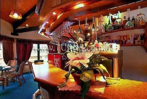 Територія Hotel Bellevue 3*