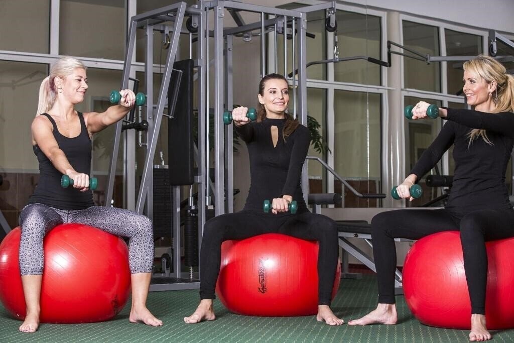 Вид Bristol Tereza 4*