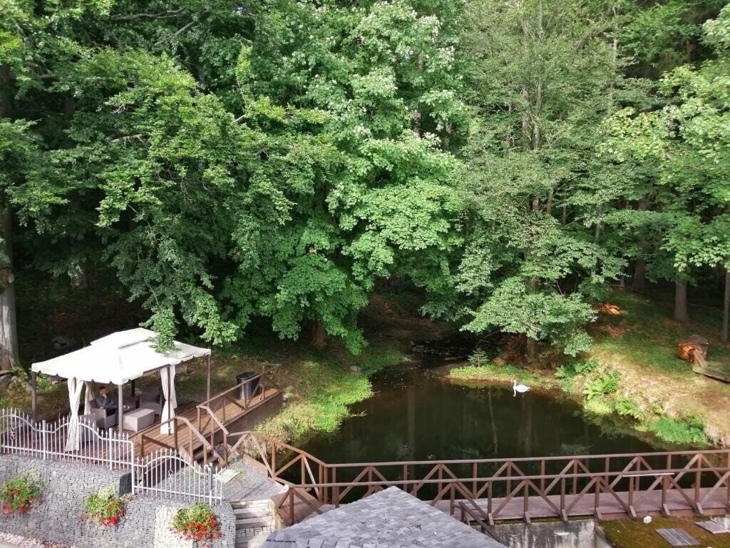 Панорама Parkhotel Forest 4*