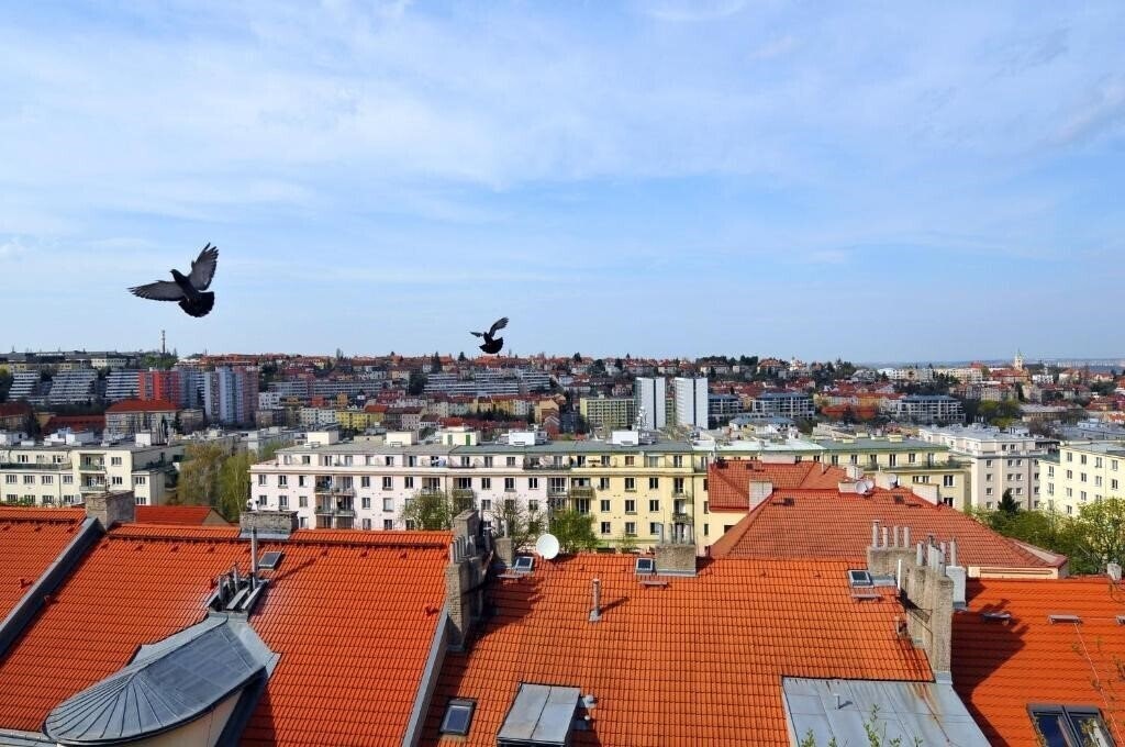 Панорама Wilhelm 3*