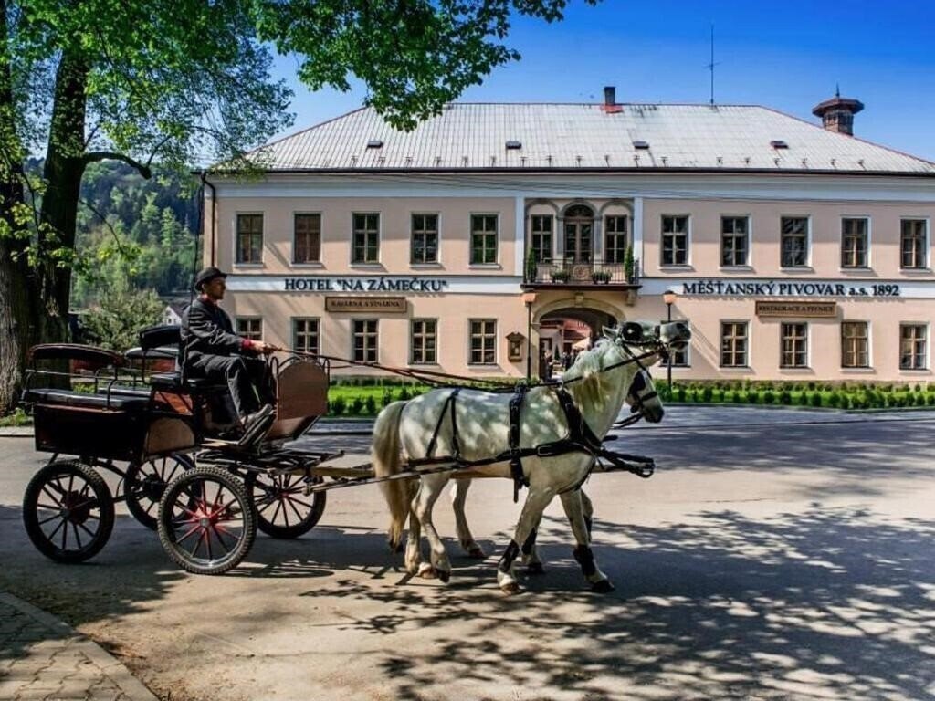 Отель Na Zamecku 4*
