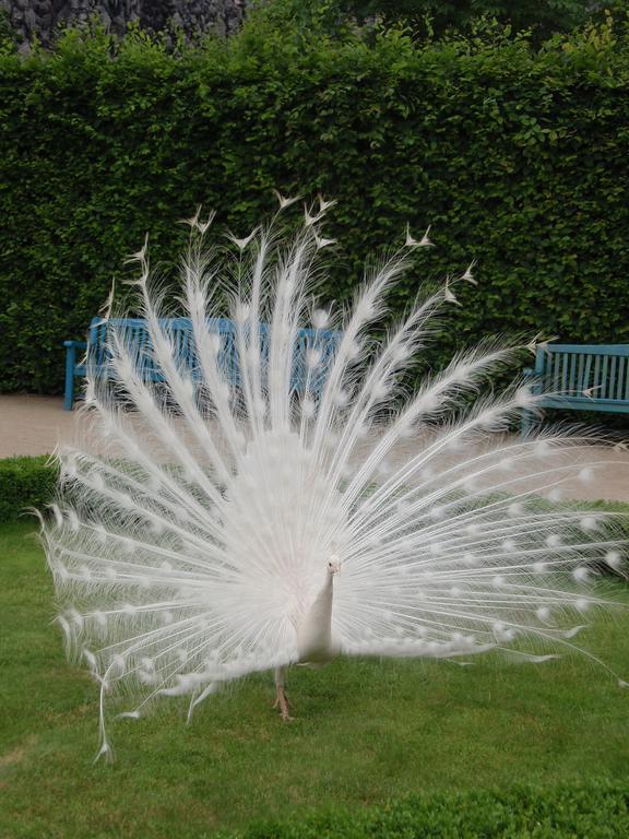 Панорама Certovka 4*