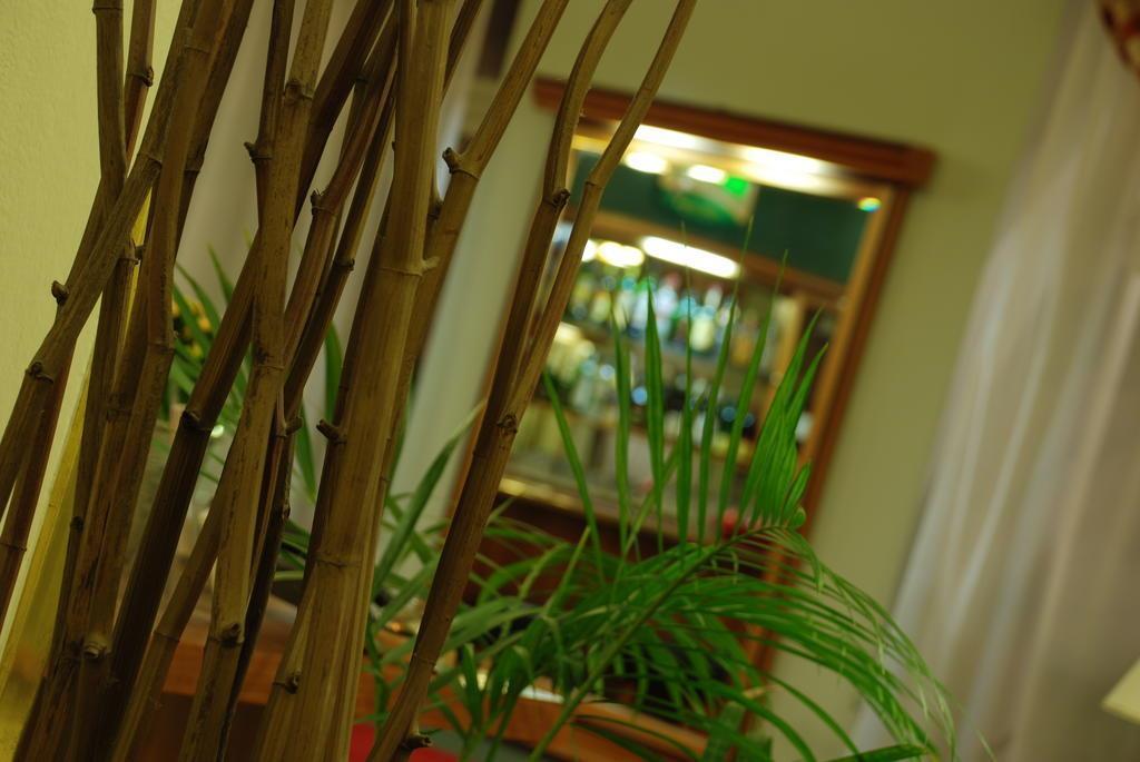 Территория Aron 3*