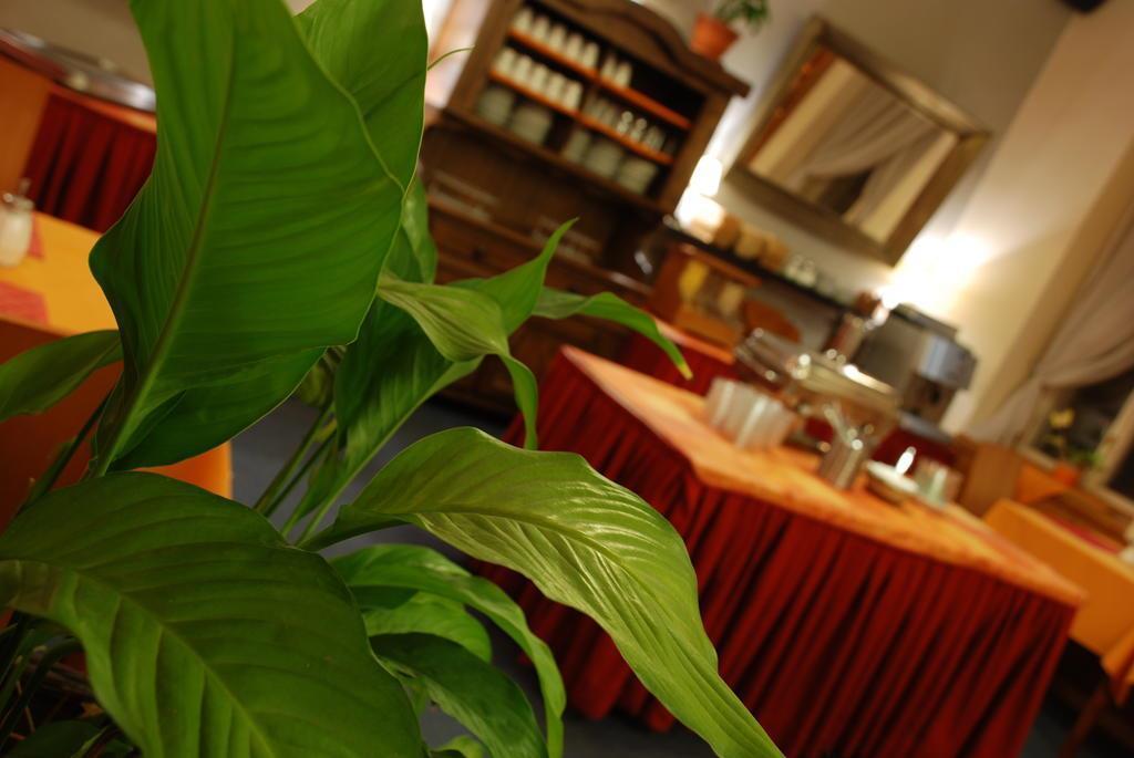 Панорама Aron 3*