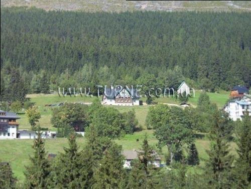 Фотография Slunecnice 3*