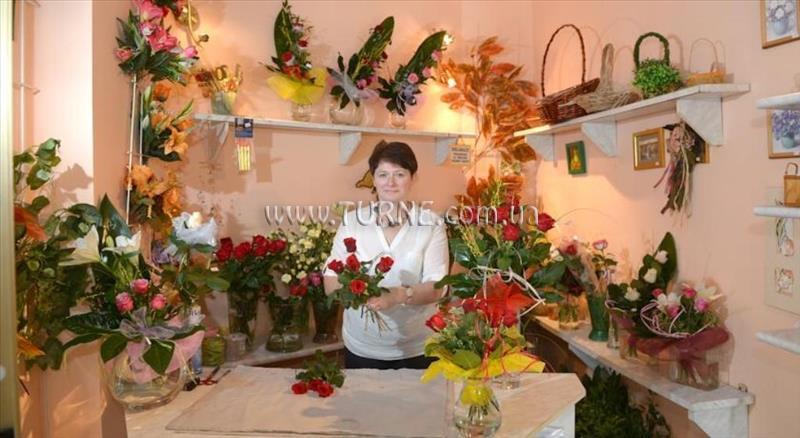 Територія Dana Small Hotel 3*