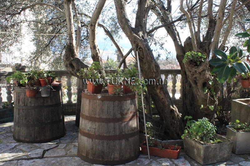 Панорама Villa Mirko 3*