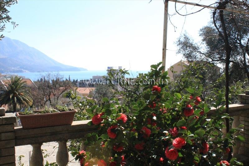 Територія Villa Mirko 3*