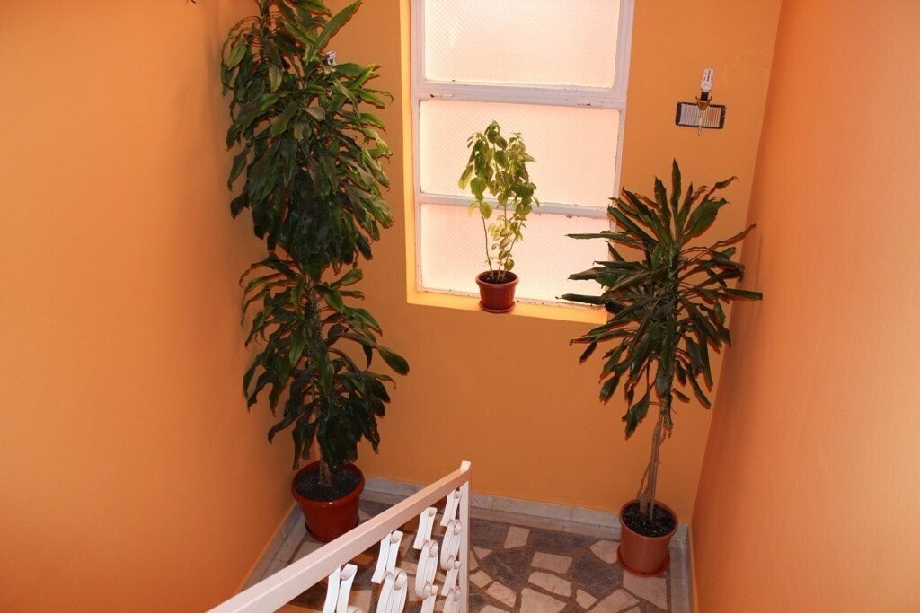 Панорама Zorka 3*