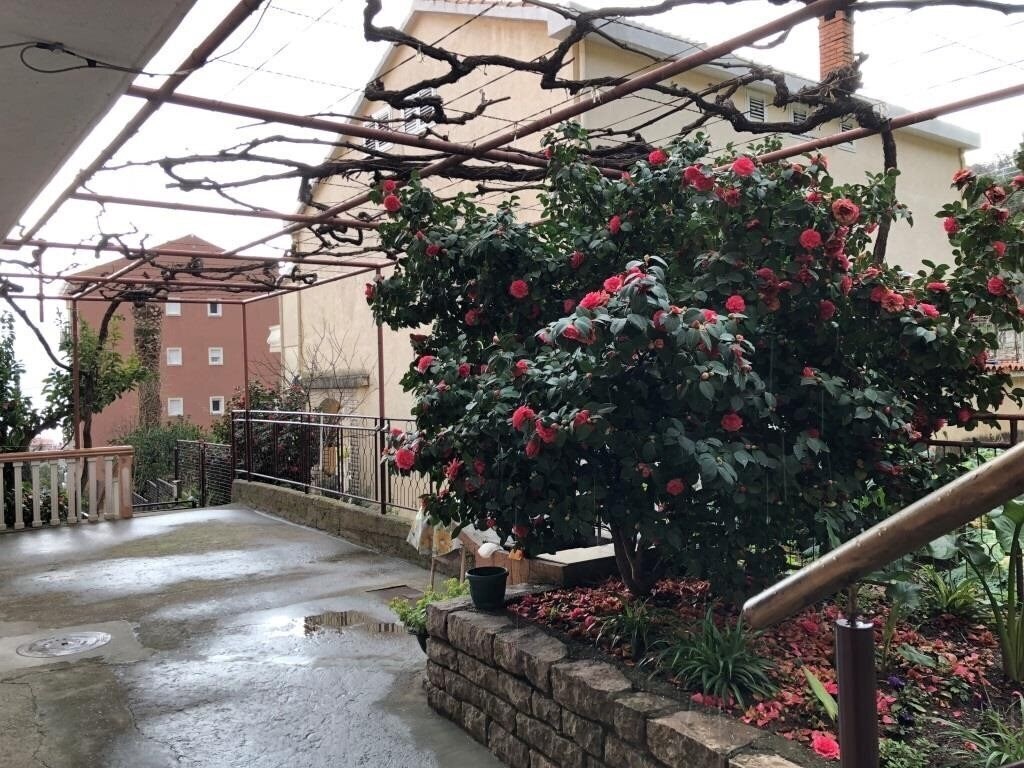 Территория Zorka 3*