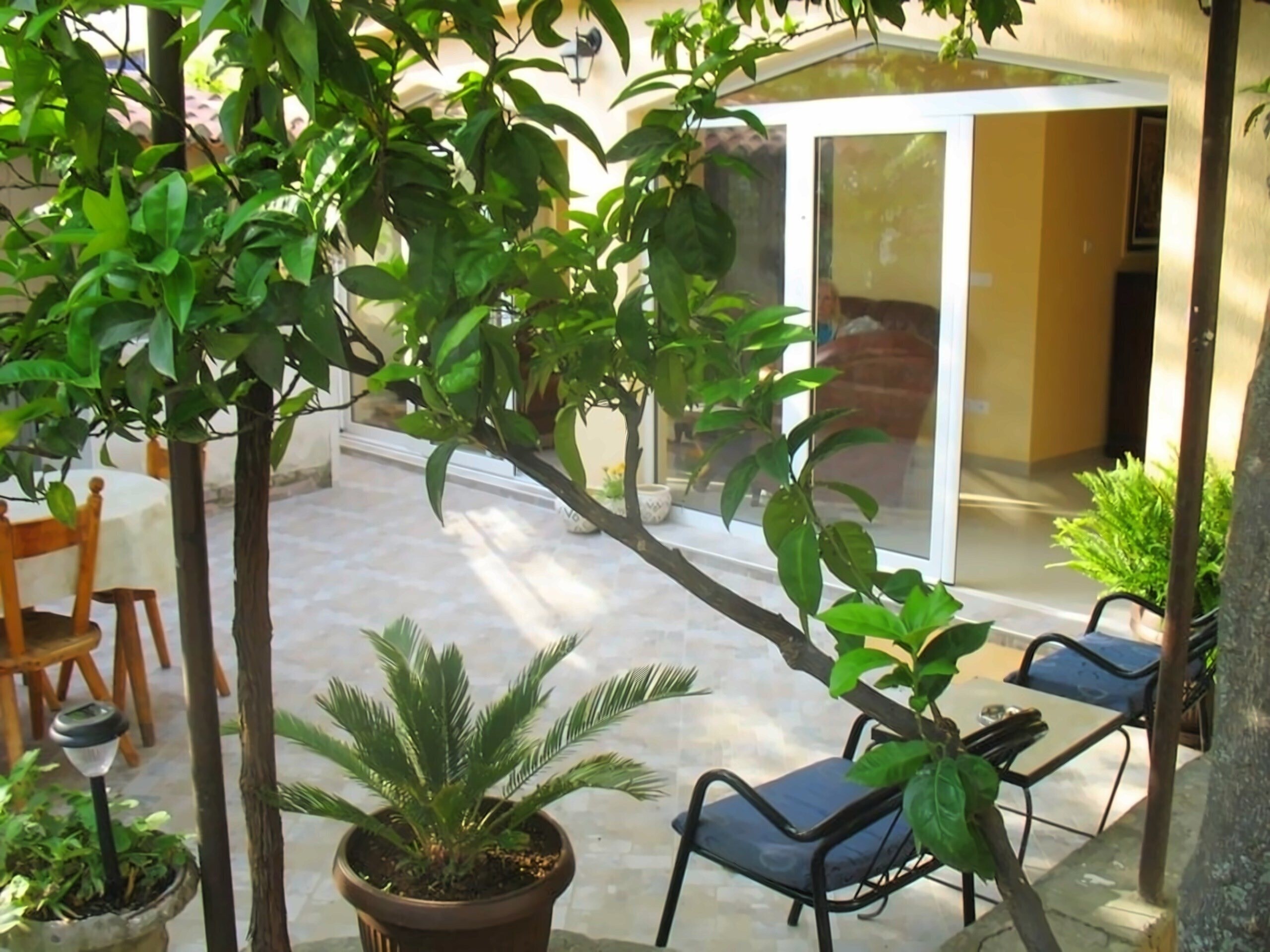 Вид Апартаменты «Agrum» 3*