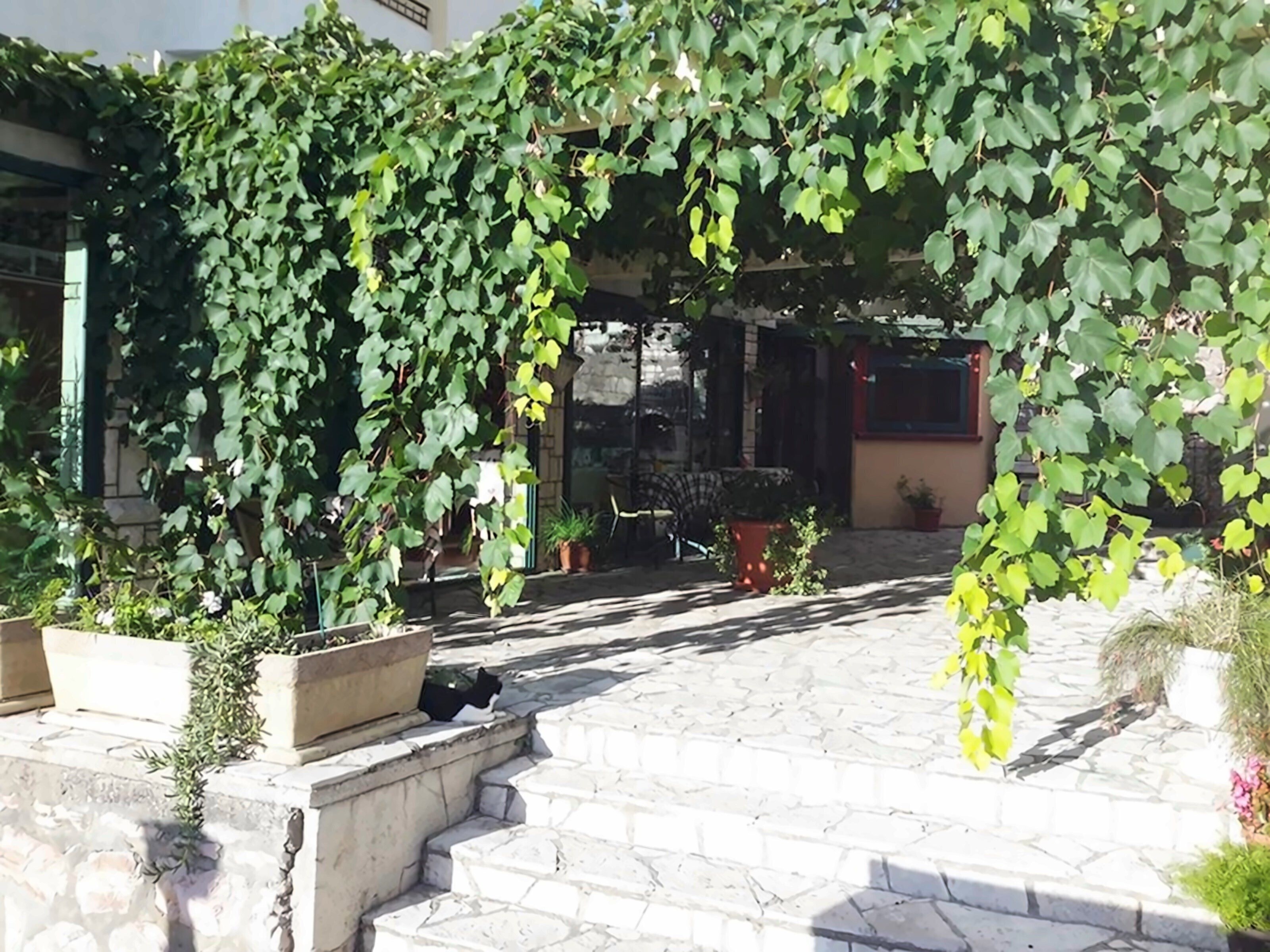 Вид Strugar Hotel 2*