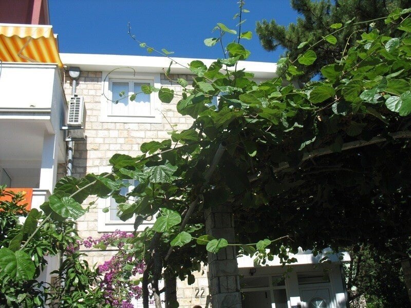 Готель Villa Boja Radjenovic 3*