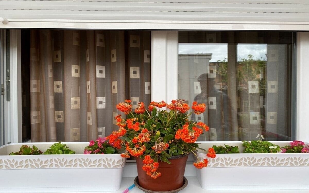 Фотографія Lijesevic New Apartments 3*