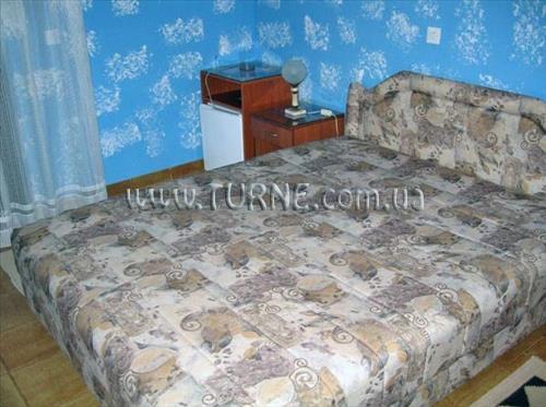 Вид Светлана вилла