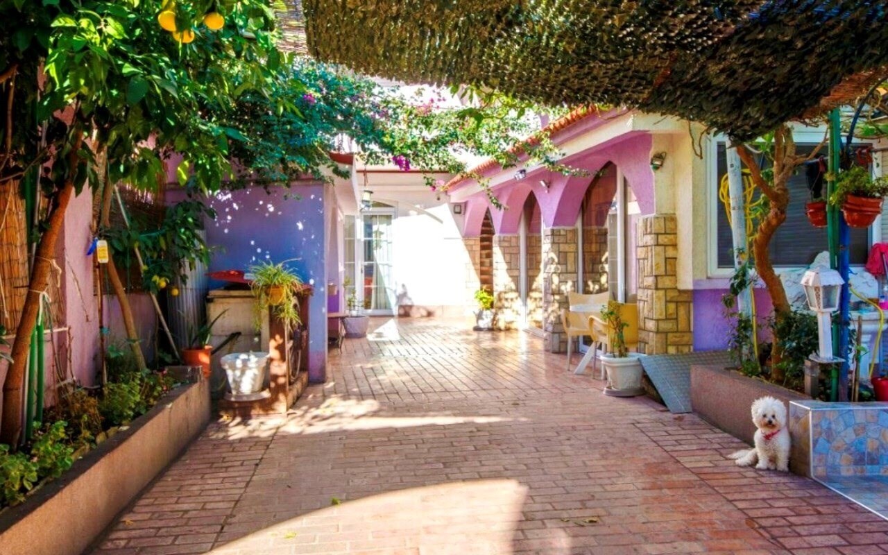 Фотография Guest House Violet Aparthotel 2*