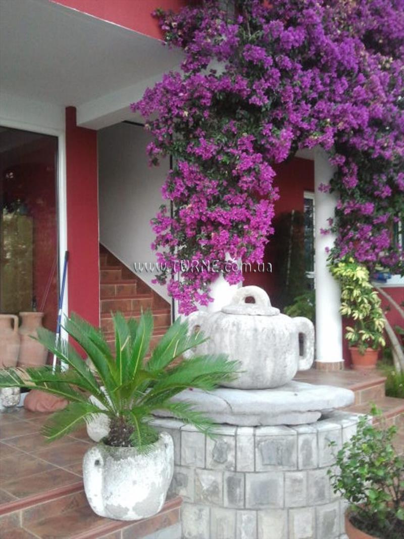 Картинка Villa Bozo 2*