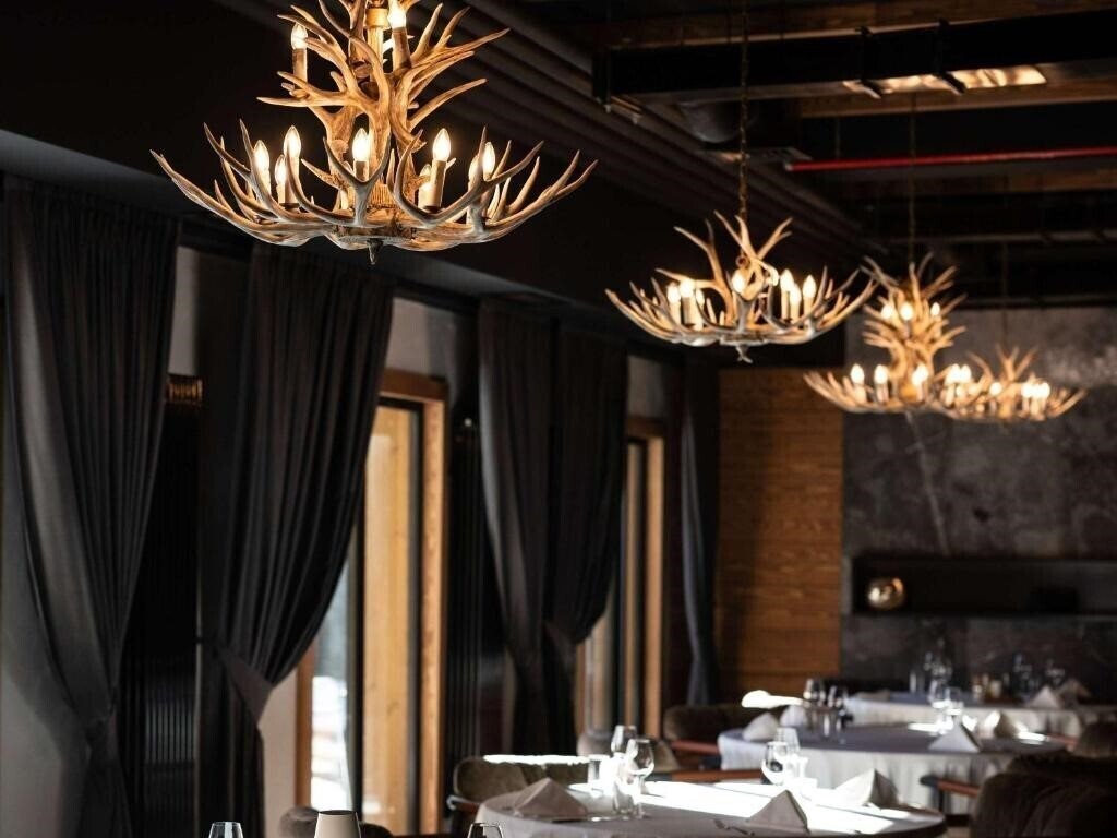 Фотографія Swissotel 4*