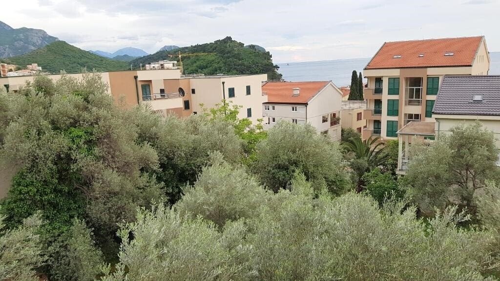 Територія Jovan Gregovic 3*