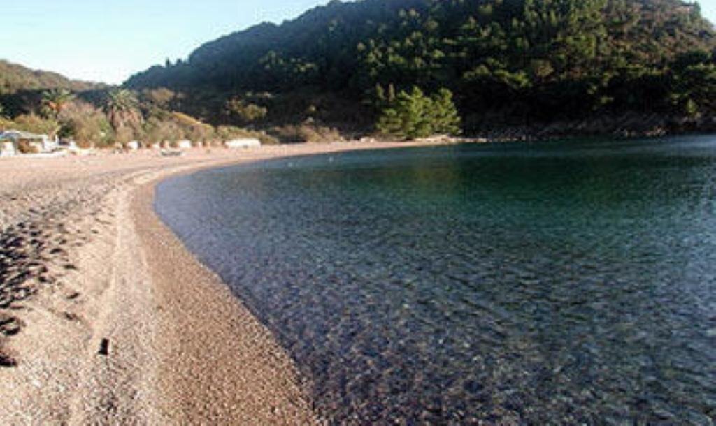 Вид Apartment M 3*