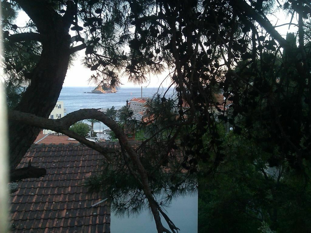 Территория Petrovac Na Moru 3*