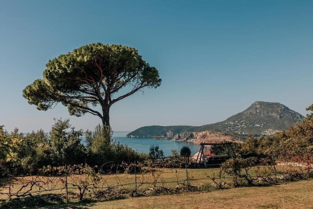 Територія Talici Hill Villa 4*