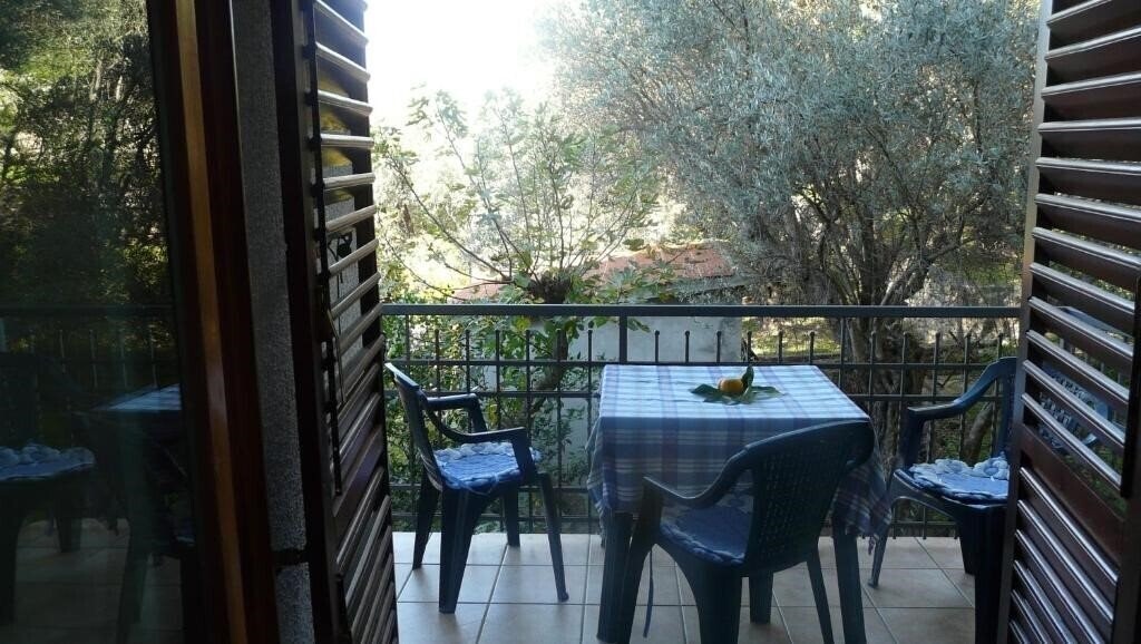 Территория Zivkovic 3*